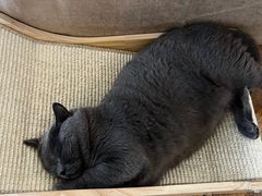 -Me Coffee下午茶艺术空间