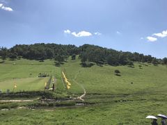 -关山草原
