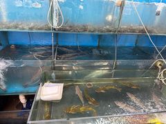 -晓琦农家菜馆·地道农家菜