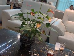 -济南遥墙国际机场-叁号贵宾厅