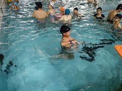 -杨浦温水游泳池