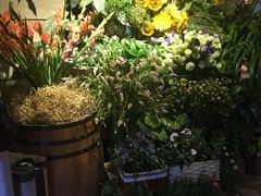 -春暖花开(西溪店)