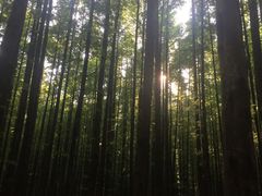 -山王坪喀斯特国家生态公园