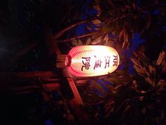 慢丽江庭院休闲餐厅(西山人家店)-慢丽江·云南野生菌土鸡锅(西山店)