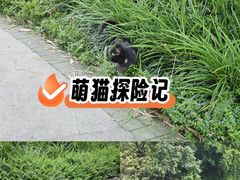 -晓港公园