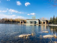 -大兴滨河森林公园