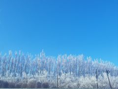 -丝绸之路山地度假区滑雪场