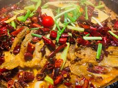 -老板恋上鱼(高新万达店)