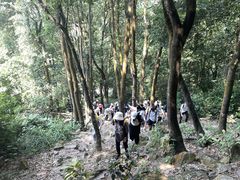 -火炉山森林公园