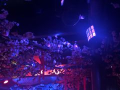 -周庄红庭演艺酒吧