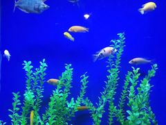 -乌鲁木齐海洋馆