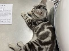 -北京恒爱动物医院(清景园分院)