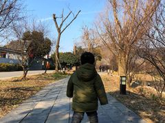 -石塘人家