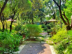 -谷咖啡·鲜花绿植花园餐厅