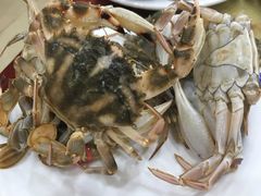 -春华海鲜城(广场西苑店)