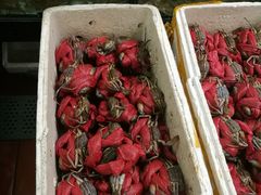 -莲花公园煎蟹(总店)