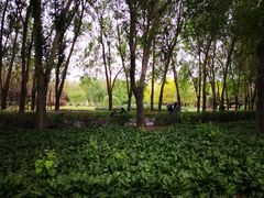 -长春公园(普阳街道)