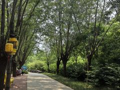 -西部长青自然儿童乐园