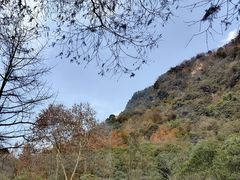 -青城山