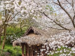 -中国茶叶博物馆(双峰馆区)