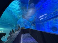 -成都浩海立方海洋公园
