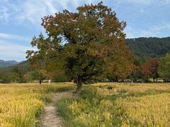 -塔川景区