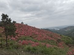 -木兰云雾山