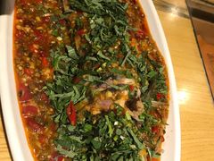 霍香家常鱼-赤宴·川菜(玉林店)