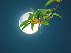 -春花秋色城市公园