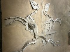 -洛阳周王城天子驾六博物馆