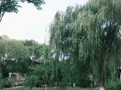 -济南国际园博园