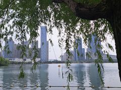 -天鹅湖体育公园