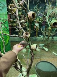 -Zoolung Zoolung动物主题公园(海信广场店)