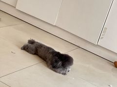 -新兴园饺子馆(北京百子湾店)