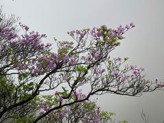 -萍乡武功山风景名胜区