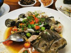 -陶缘一号·四季缘·老字号顺德菜·户外婚礼家宴(西滘店)
