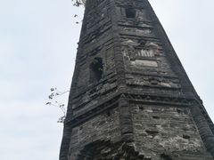 -上海佘山国家森林公园天马山园