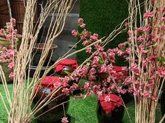 -肖记公安牛肉鱼杂馆· 省级非物质文化遗产(仁和路店)