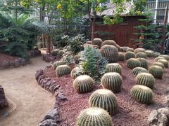 -呀路古热带植物园