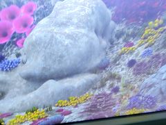 -珠海横琴国家地理探险家中心(创新方)