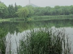 -北坞公园