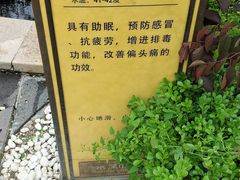 -大连金石滩绿发温泉假日酒店