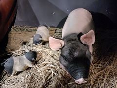 -E+有冰工厂·昆仑寒宫2(五角场店)