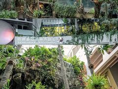-正佳雨林生态植物园
