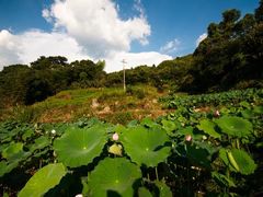 -石城赣江源漂流