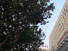 -同济大学附属口腔医院