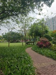 -深圳市儿童乐园