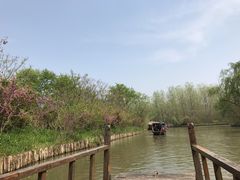 -溱湖国家湿地公园