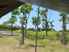 -春花秋色城市公园