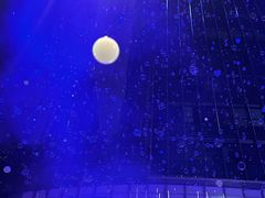 -交通银行前滩31演艺中心